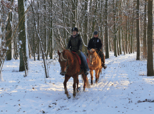 Sneeuwrit2010